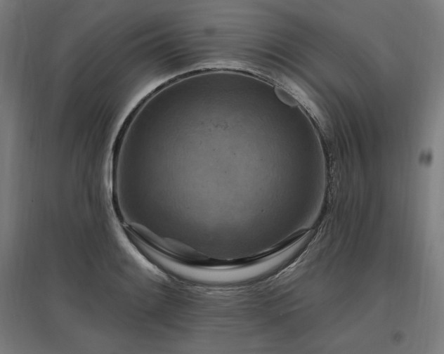 X0000096971084200802151303