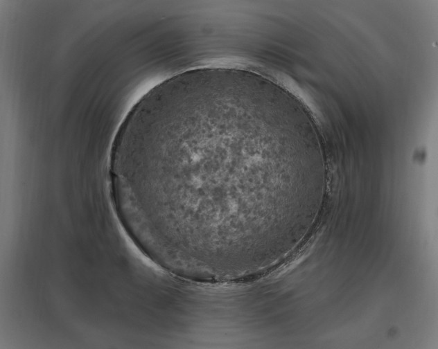 X0000096971087200802151303