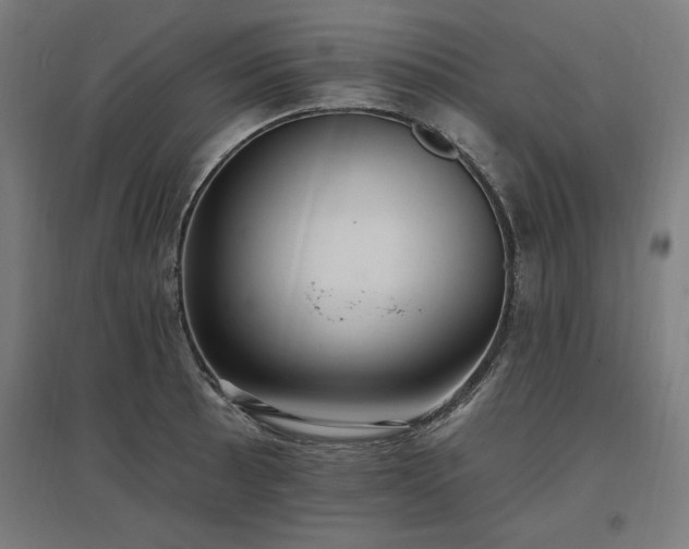 X0000096971089200802151303
