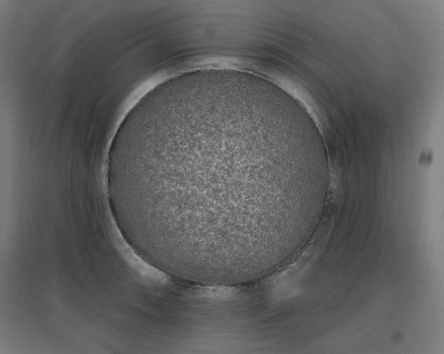 X0000096971090200802151303