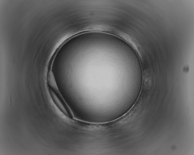 X0000096971091200802151303