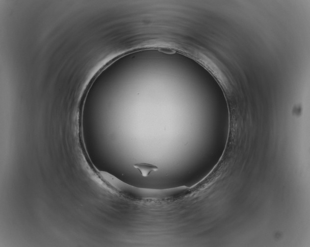 X0000096971092200802151303