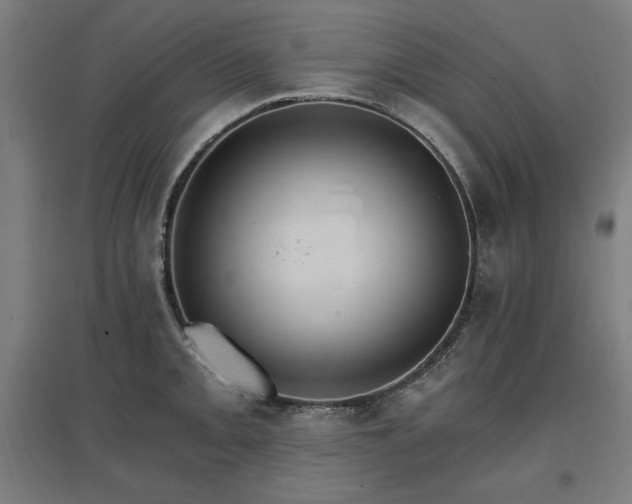 X0000096971093200802151303