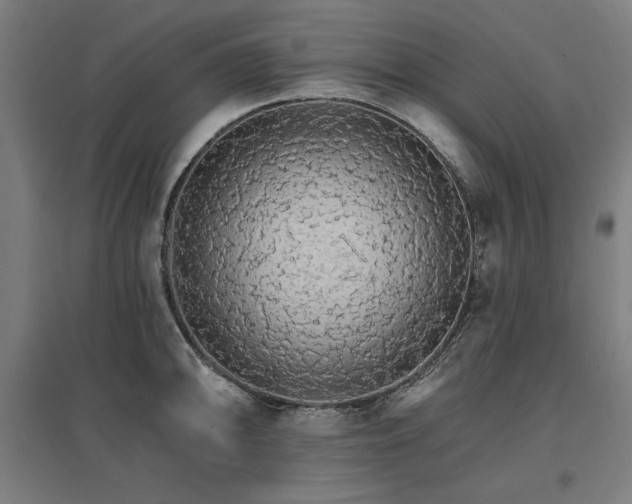 X0000096971094200802151303