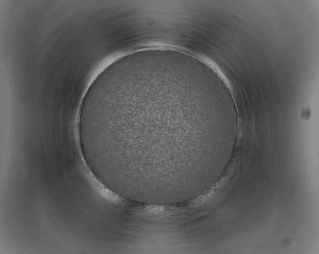 X0000096971098200802151303