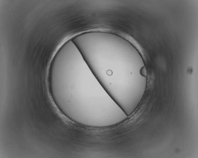 X0000096971099200802151303