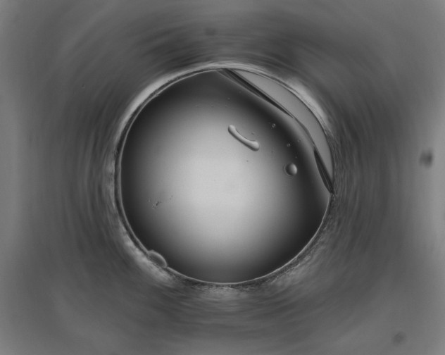 X0000096971100200802151303