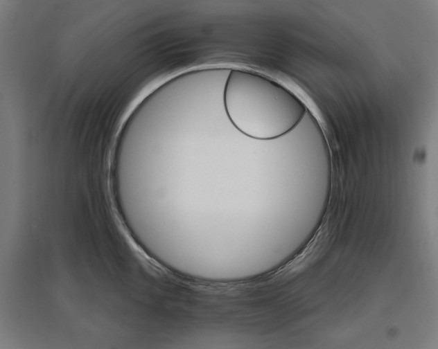 X0000096971101200802151303