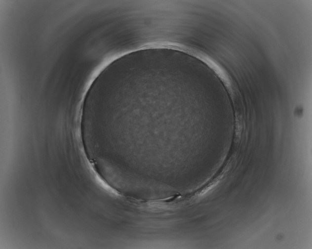 X0000096971102200802151303