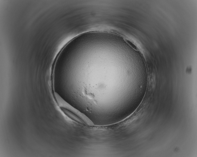 X0000096971103200802151303