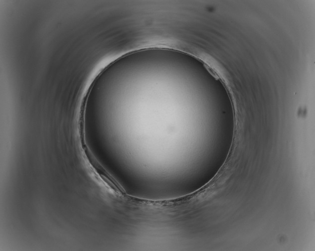 X0000096971104200802151303