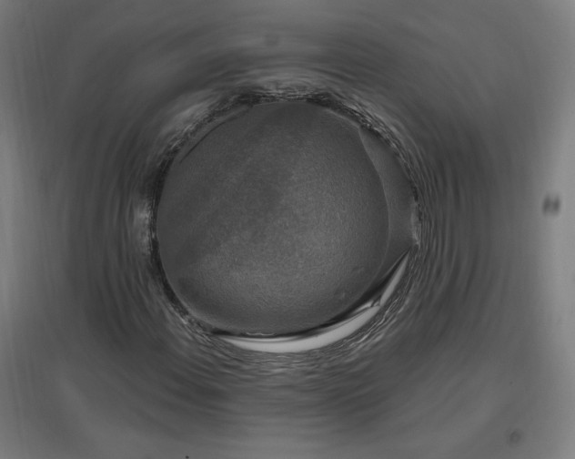 X0000096971108200802151302