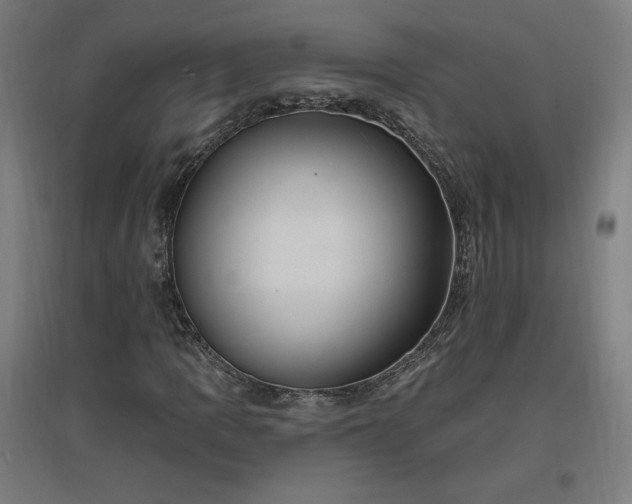 X0000096971109200802151302