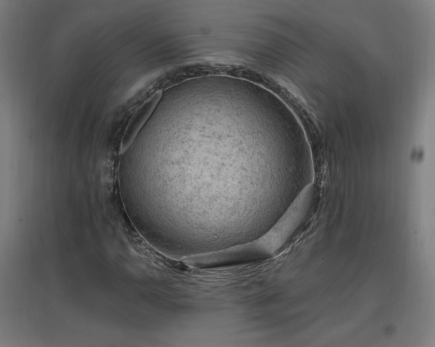 X0000096971110200802151302