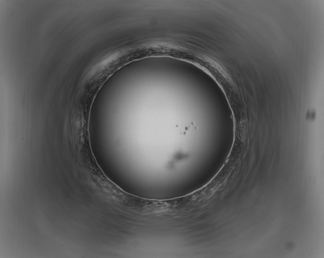X0000096971111200802151302