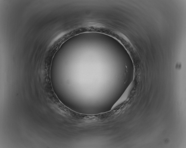 X0000096971112200802151302