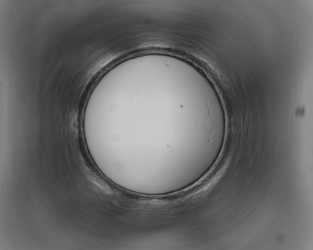 X0000096971113200802151302