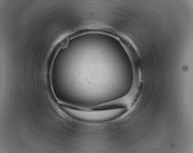 X0000096971114200802151302