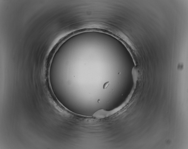 X0000096971116200802151302