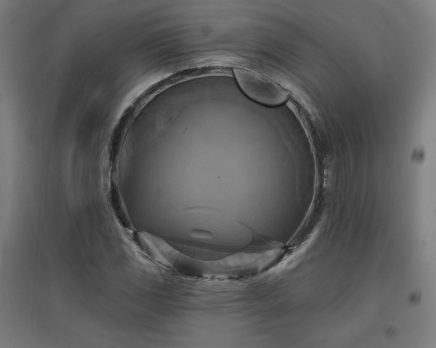X0000096971117200802151302