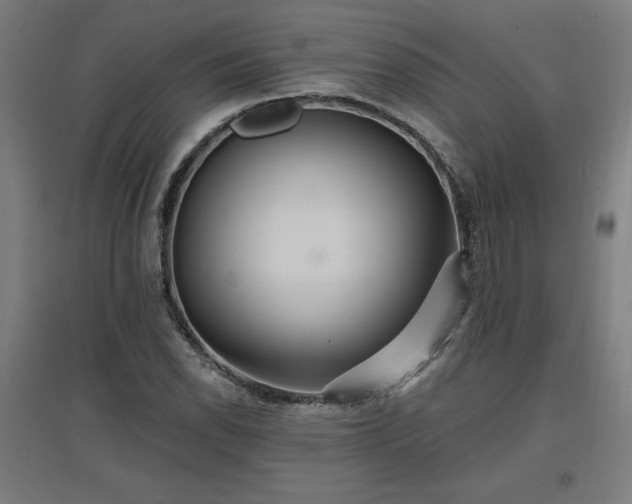 X0000096971118200802151302