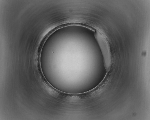 X0000096971119200802151302