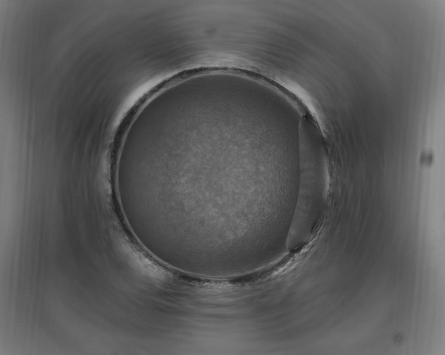 X0000096971120200802151302