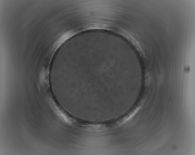 X0000096971121200802151302