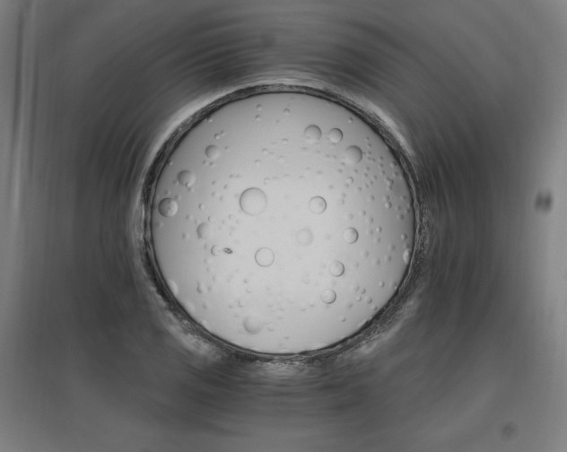 X0000096971125200802151302