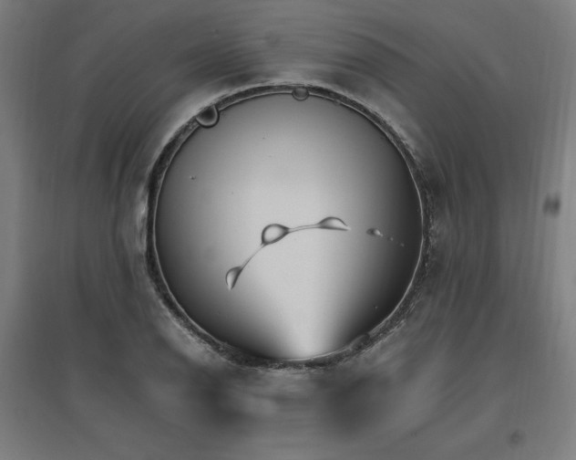 X0000096971126200802151302