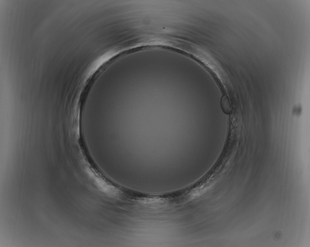 X0000096971127200802151302