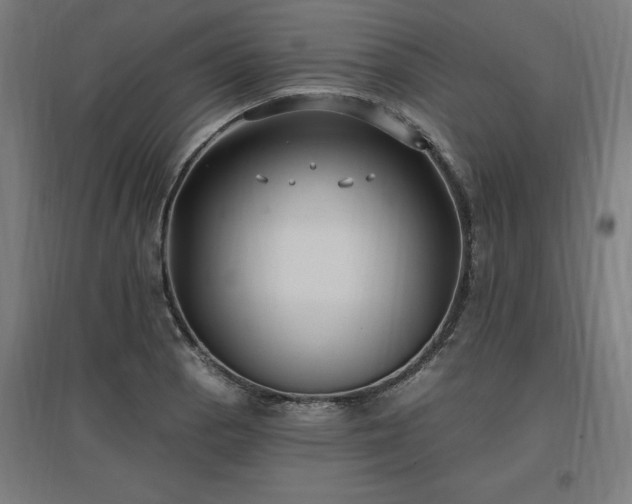 X0000096971129200802151302