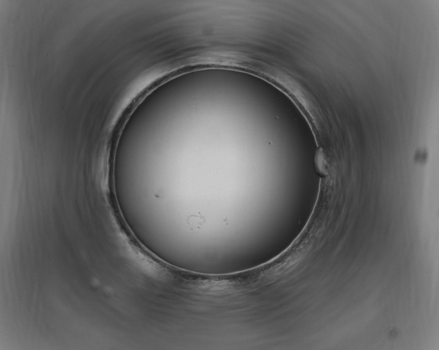 X0000096971131200802151302
