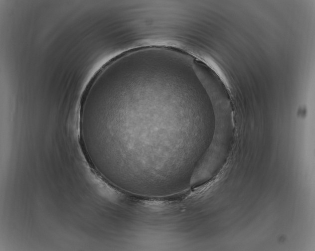 X0000096971132200802151302