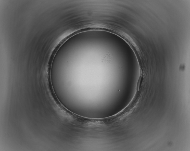 X0000096971133200802151302