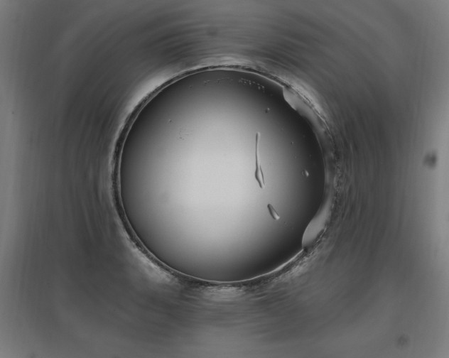 X0000096971135200802151302