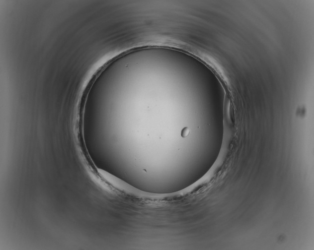 X0000096971136200802151302