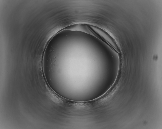 X0000096971137200802151302