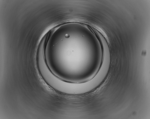 X0000096971138200802151303