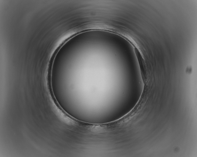 X0000096971139200802151303