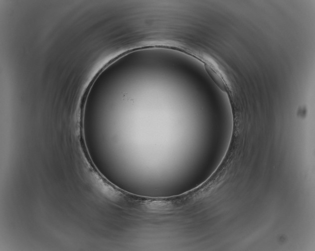X0000096971140200802151303
