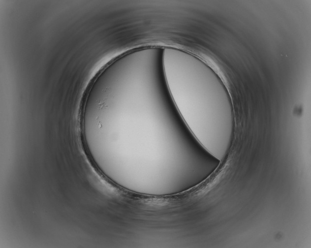 X0000096971141200802151303