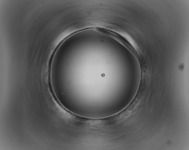 X0000096971143200802151303