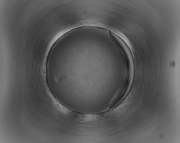 X0000096971144200802151303