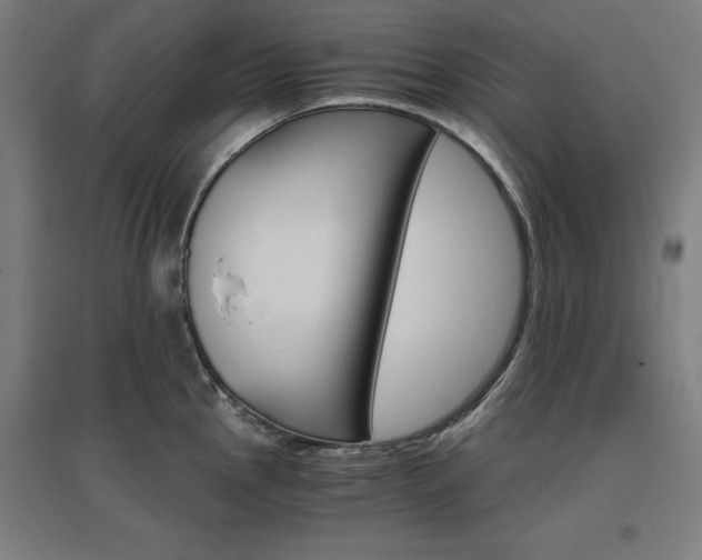 X0000096971145200802151303