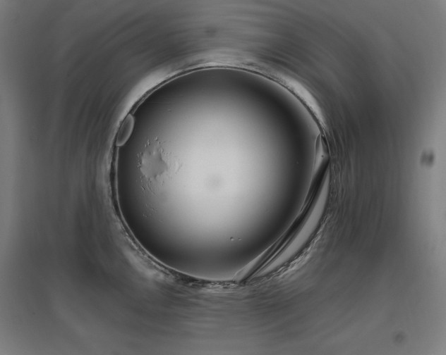 X0000096971146200802151303