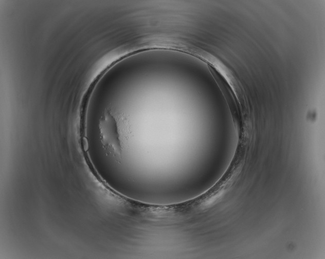 X0000096971147200802151303