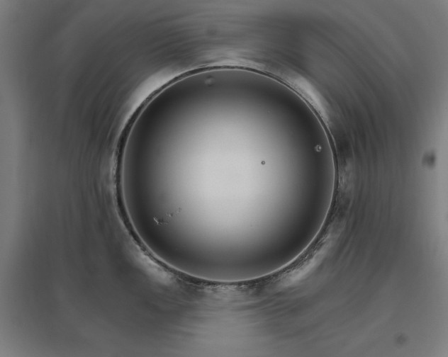 X0000096971149200802151303