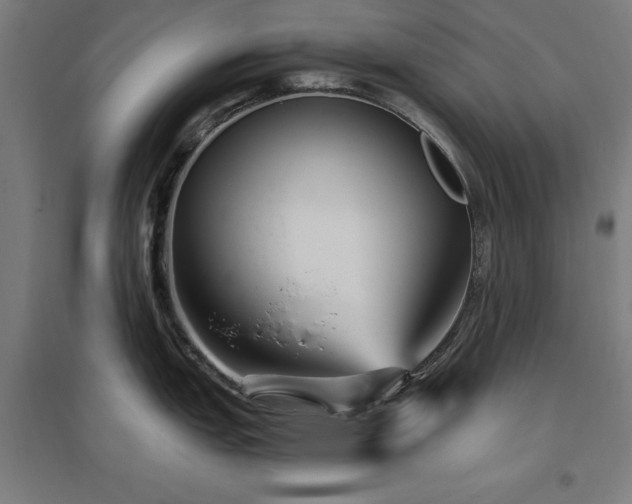X0000096971151200802151303