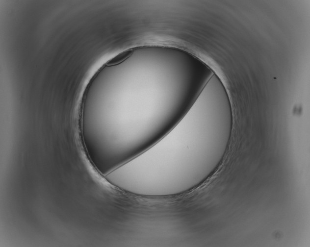 X0000096971152200802151303
